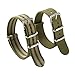 ALPS Nato Nylon Watch Strap with Stainless Steel Buckle (Watch Strap +Spring Bar )