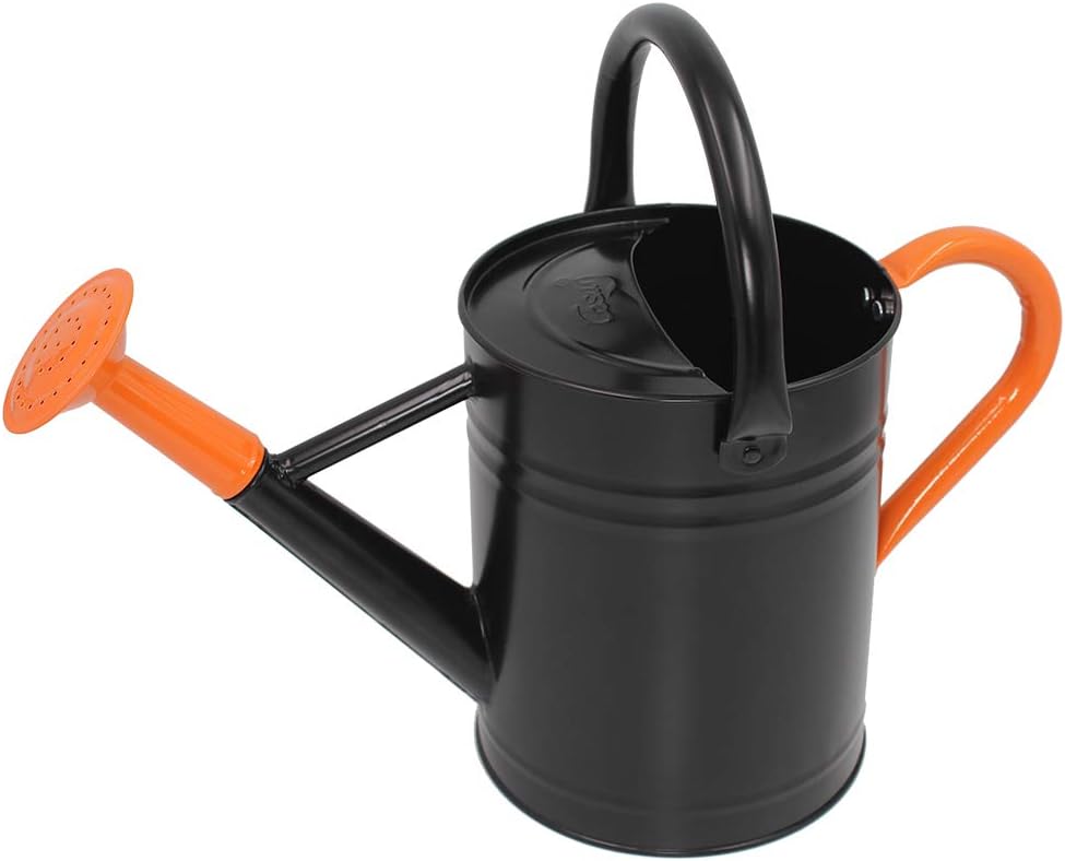 Cesun Metal Watering Can Galvanized Steel Watering Pot with Removable Spray Spout, Movable Upper Handle, Easy to Use for Outdoors Gardening, 1 Gallon-Baked Orange : Garden & Outdoor