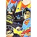 Lego DC Super Heroes Boys Flannel Pajamas (8)