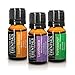 Healthy Body Essential Oils with Car Diffuser - 3 Pack Aromatherapy Essential Oils Set for Relaxation, Stress-Relief, Sleep, Energy - Defusser Essential Oils of Lavender, Peppermint, Sweet Orange
