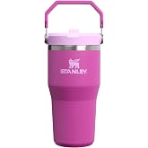 STANLEY IceFlow 2.0 Flip Straw Tumbler, 20 oz, Dark Blossom | Easy Carry Handle | Twist On Lid and Flip Up Straw | Leak Resistant Water Bottle | Insulated Stainless Steel | BPA-Free