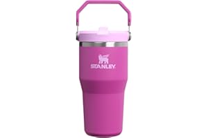 STANLEY IceFlow 2.0 Flip Straw Tumbler with Handle 20 oz | Twist On Lid and Flip Up Straw | Leakproof Water Bottle | Insulate