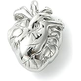 Clotiry 12Pcs Anatomical Heart Pendant Stainless Steel 3D Human Heart Charms Human Organ Biology Charm for Halloween Necklace Jewelry Making