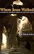 Where Jesus Walked: A Spiritual Journey Through the Holy Land