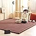Infant Shining Baby Play Mat, Thick Rugs, Soft and Antislip Rug