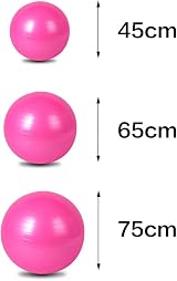 ZHIYE Pink 45 CM Pilates Ball Core Fitness Swiss Ball PVC PVC Exercise Ball view 2