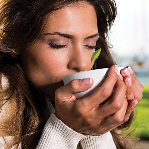 Tea Forte Cafe Cup Porcelain Tea Cup and Lid, Custom Cover Keeps Tea