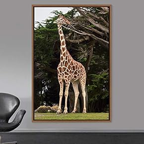 signwin Framed Canvas Wall Art Giraffe Animals Expressive...