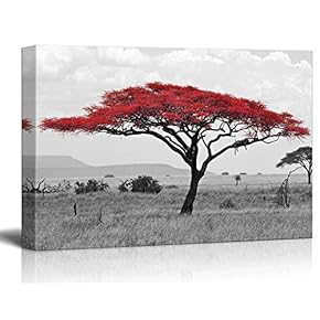 Canvas Wall Art - Pop of Red Color Acacia Treetop on Black and White African Savanna Background - Giclee Print Gallery Wrap Modern Home Art Ready to Hang - 12x18 inches
