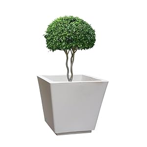 Yuccabe Italia Yuccabe FOXB GK White 12 Inches Planter