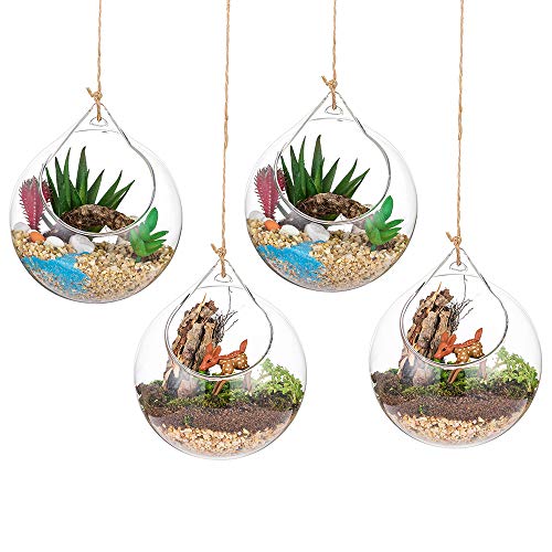 Hanging Glass Globes Terrarium Succulents Orbs 4 Pcs Glass Planter Big Opening Air Fern Plants Vase Hanger 4 Inches for Home Party Wedding Garden DIY Design โ image 1