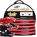 TOPDC Pure Copper 4 Gauge 20 Feet Jumper Cables for Car, SUV and Trucks Battery, Heavy Duty Automotive Booster Cables for Jump Starting Dead or Weak Batteries with Carry Bag