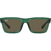 Ray-Ban mens Rb4396 Warren Rectangular Sunglasses