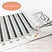 3D W Volume Cluster Eyelash Extension False Eyelashes 0.15 C Curl 8-14Mix/12/14MM Individual Eyelashes 3D 3Trays