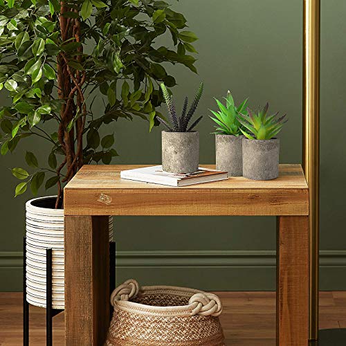 Hopewood Home Decor Small Fake Plant 3PCS Small Artificial Succulent Set Faux Potted Plant for Table Indoor Kitchen (6.2inch)