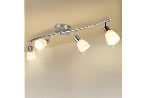 DINGLILIGHTING DLLT 4-Light Track Lighting Fixtures-Flexibly Rotatable Spotlight Ceiling, Modern Flush Mount Wall Lights with Glass Shade for Kitchen, Living Room, Hallway, Brushed Nickel, E12(Bulb Included)