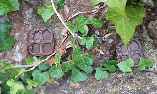 2 Small Fairy Windows Garden Ornaments