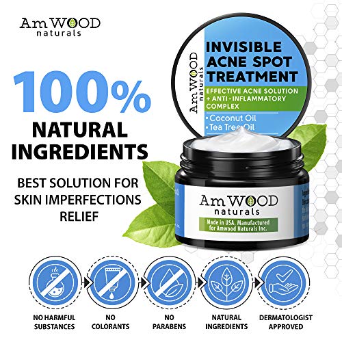 Acne Spot Treatment Cream - Made in USA - Fast-Acting Formula for Clearing Severe Acne from Face & Body - Effective & Invisible Cystic Acne Cleanser Solution for Teens & Adults