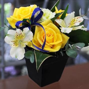 美しい花の画像 ぜいたく幸せ の 象徴 花