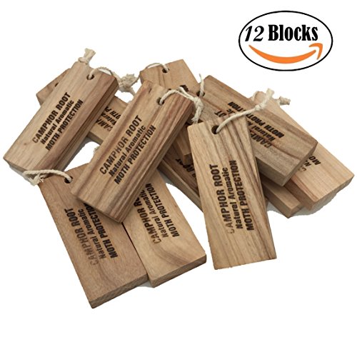 Household closet essentials fresh cinnamomum camphora r…