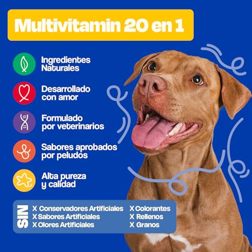 Dogelthy Multivitamin 20 en 1. Suplemento para Perros con con Glucosamina, Complejo B, Aceite de Krill, Vitaminas y Antioxidantes en Polvo. Complemento para Croquetas o Dieta Barf Sabor Cerdo de 270g