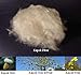 Bean Products Premium Kapok Fill | 2.5 lbs | 100% Organic Kapok Fiber | Chemical Free and Hypoallergenic | Perfect for Pillows, Pet Beds, Couches & More | Made in USA