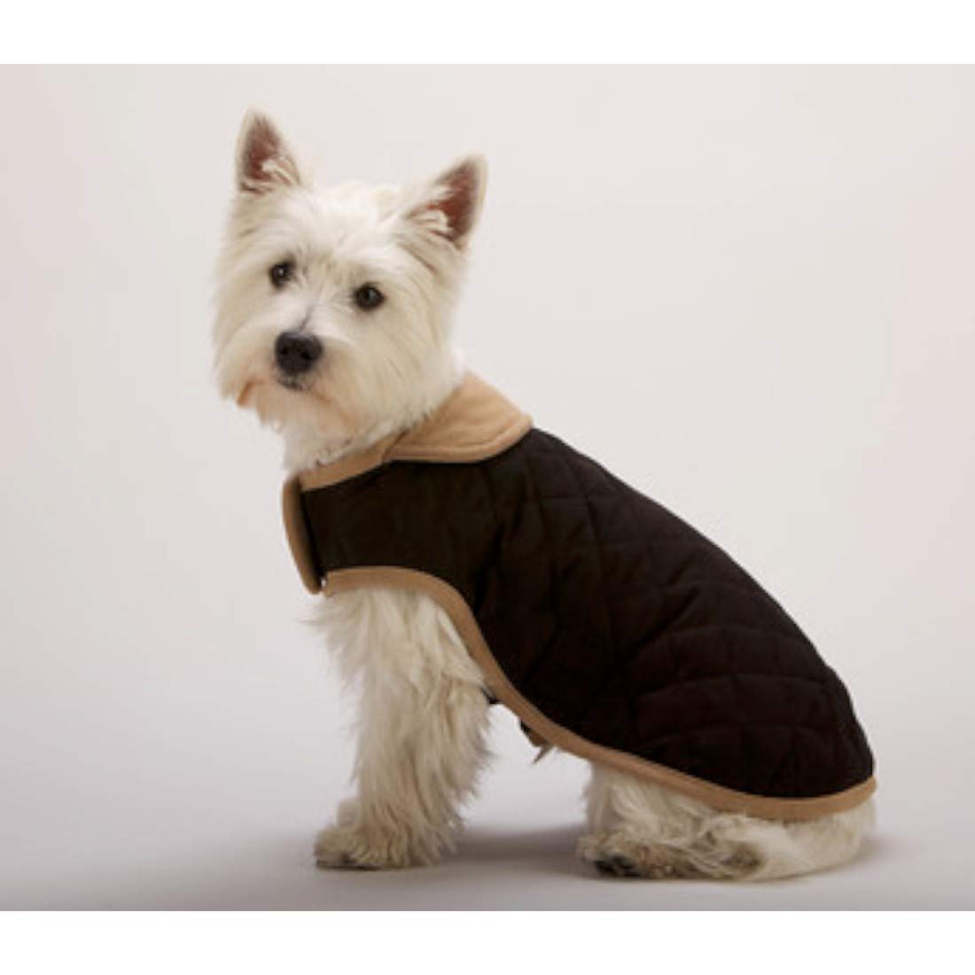 Dog Gone Smart Bed DGSWSBQ2019 Nanosuede Belly Quilted Dog Jacket, 20-Inch, Black