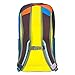Cotopaxi Batac 16L Backpack - Del Día (One of a Kind) - Durable Lightweight Nylon Hiking Packable Daypack Backpack