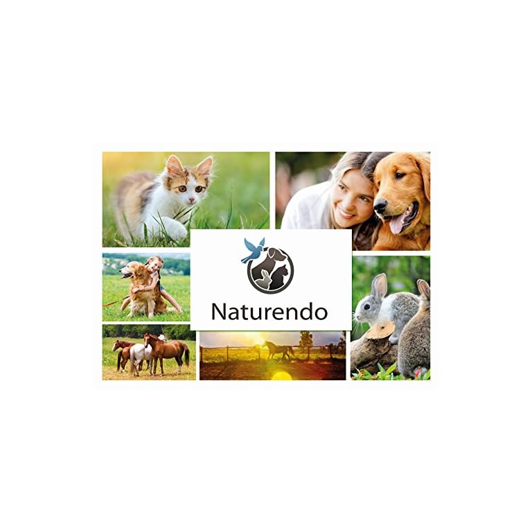 Bachblüten Globuli Hunde Katzen Beruhigung Beruhigungsmittel bei