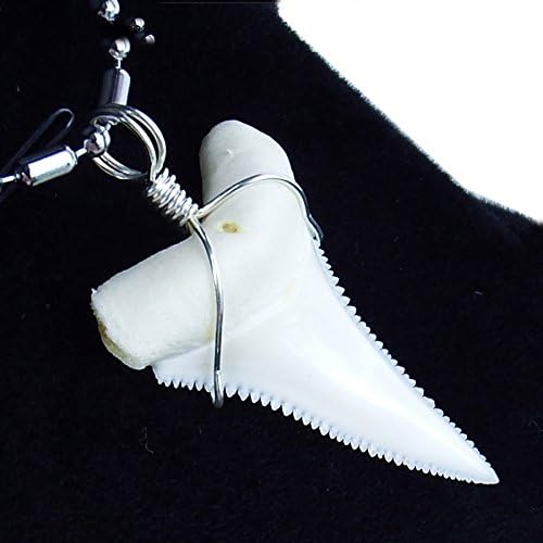 GemShark Real Shark Tooth Necklace Great White for Boy Men Sterling Silver Wrapped Charm Pendant