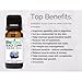 Biofinest Black Cumin (Black Seed) Oil - 100% Pure Organic Cold-Pressed - Best for Skin and Hair Care - Antibacterial & Anti-Inflammation - Free E-Book (10ml)