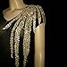 1pcs Embroidery Long Peacock Feather Motif Venise Lace Collar Supplies Women DIY Manual Lace Fabric Trim Crafts (Gold)