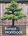 Bonsai Workbook: Your handy organizer for bonsai growing and care by Bonsai Journal