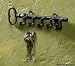Park Designs Key Shaped Key Hook Rack Antiqued Look