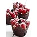SUBANG 180 Pieces Tulip Cupcake Liner Baking Cups Muffin Tins Treat Cups for Weddings, Birthdays, Baby Showers,Brown Natural And White
