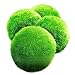 Luffy 4 Giant Marimo Betta Balls (1.5