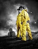 Breaking Bad TV Show (2008-2013) Poster 24x36