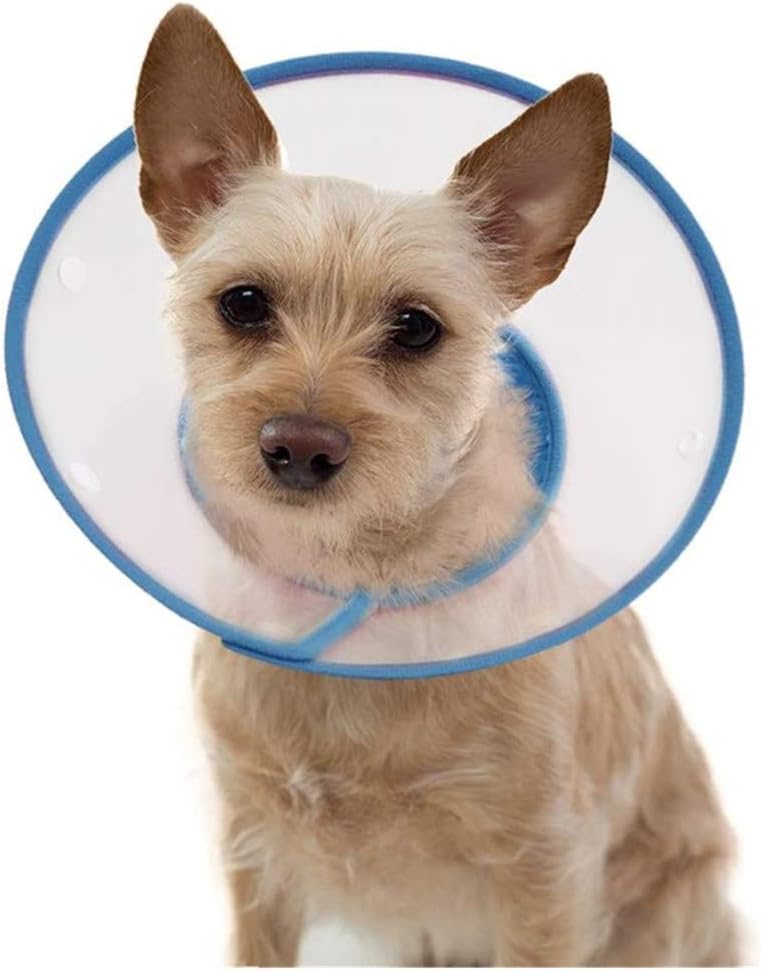 protective elizabethan collar