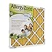AllergyZone AZ20201 Air Filter for Allergy Sufferers, 20 x 20 x 1"