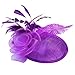 Valdler Halloween Costume Feather Net and Veil Fascinator Hair Clip Hat Hair Accessories Clip for Festival Party Purple