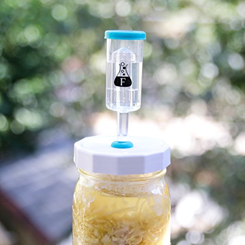 Fermentology Sauer System Mason Jar Fermentation Airlock Lid Kit