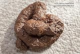 DOMAGRON Premium Fake Poop