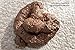 DOMAGRON Premium Fake Poop