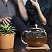 Glass Teapot Kettle w/Stainless Steel Tea Infuser 33.8oz for Loose Leaf Tea + 2 Glass Tea Cups + Japanese Bamboo Tray | Microwave & Stovetop Safe by Tynx