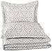 Amazon Brand – Pinzon Paris Printed Egyptian Cotton Sateen Duvet Set - Full or Queen, Light Gray