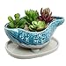 Turquoise & Gray Abstract Design Ceramic Succulent Plant Flower Planter Pot w/ Removable Saucer - MyGift