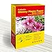 Conink Photo Paper 100 Sheets 4x6 Photo Paper High Glossy Vivid Color Waterproof Photographic Paper Works with All Inkjet Printers (100sheet 46)