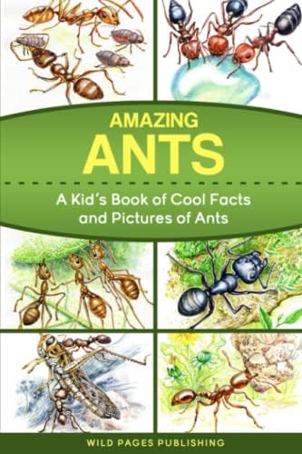 The Book of Ant Records: Amazing Facts and Feats: Bargum PhD