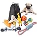 Big Bigger Fun Small Dog Toy Set Indoor or Outdoor Pure Cotton Rope chew Toy Squeak Toys Dog Ball Plush Dog Toy Screaming Chicken, Beautiful and Durable, Suitable for Small and Medium Dogs (8 Pack)