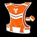 247 Viz Reflective Running Vest – Reflective Vest Running at Night for Walkers, Women & Men. High Visibility Reflective Gear, Cycling & Running Vest, High Vis Neon Safety Runners Reflective Vest